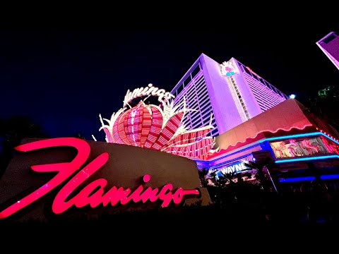 ¿Necesitas realizar el check out en el Hotel Flamingo? (contestada)