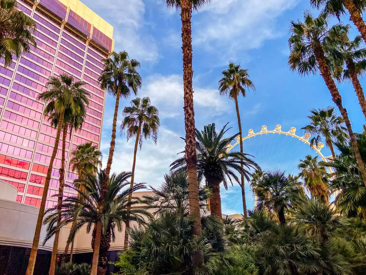 The Flamingo Hotel: Una ganga en el corazón de Las Vegas