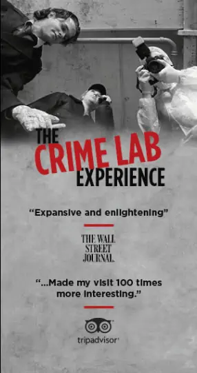 El museo de la mafia
