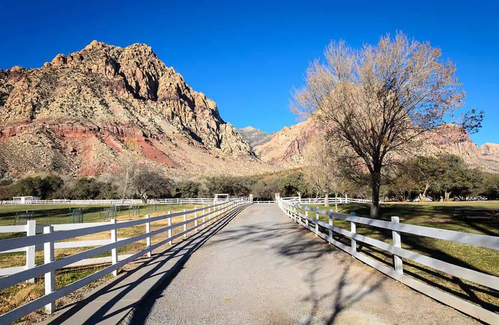 Los 13 mejores parques nacionales y estatales cerca de Las Vegas (¡IMPRESIONANTE!)