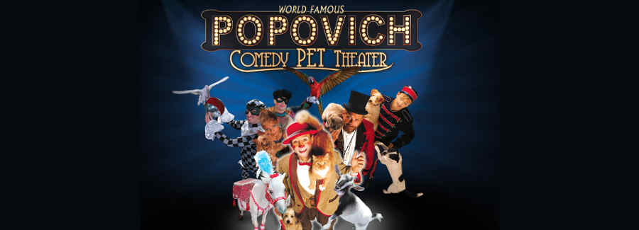 Entradas con descuento para el Popovich Comedy Pet Theatre