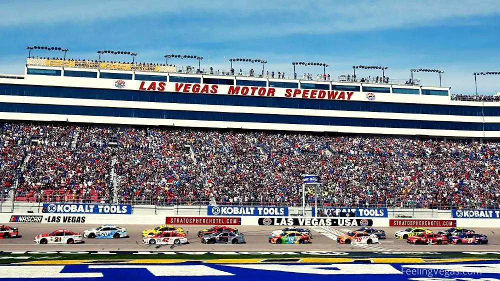 ¿Qué tamaño tiene el circuito de Las Vegas Motor Speedway? (Lo que deberías saber)
