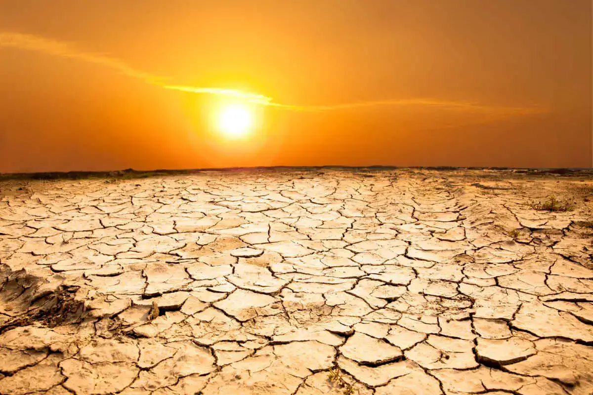 ¿Las Vegas tiene calor húmedo o seco? (Explicación de la humedad de Las Vegas)