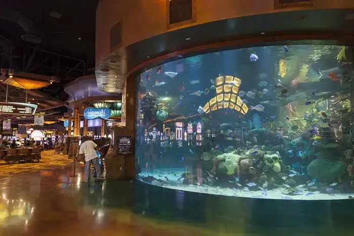 Las mejores cosas gratis para hacer en Las Vegas hoy