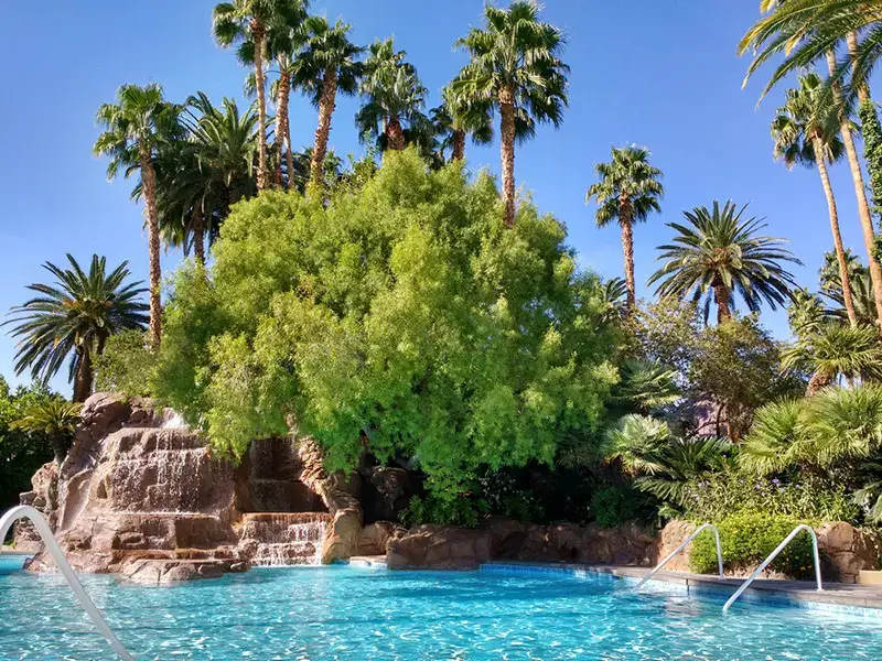 Guía de Mirage Pool Las Vegas – Horarios y Precios