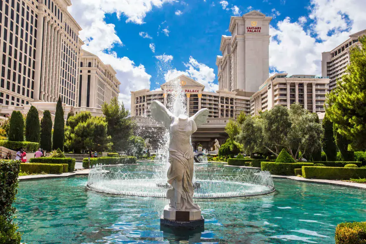 ¿Se permiten perros en los casinos de Las Vegas? (Se admiten perros en Las Vegas)