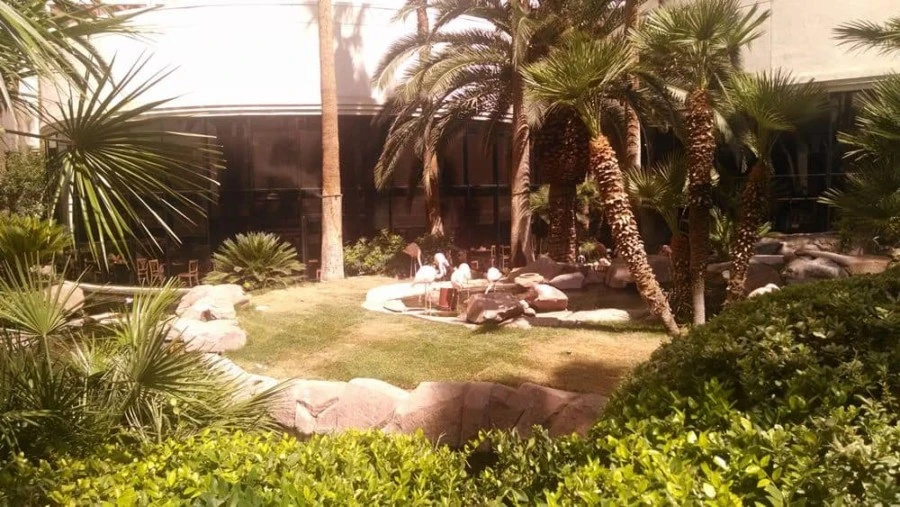 Cosas que hacer con niños pequeños en Las Vegas