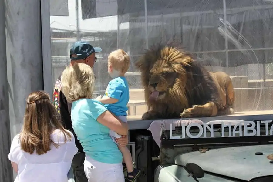 Cosas que hacer con niños pequeños en Las Vegas