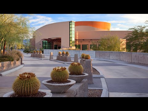 Los 24 mejores museos de Las Vegas (¡geniales, divertidos y extraños!)
