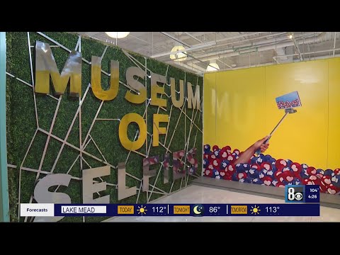 Los 24 mejores museos de Las Vegas (¡geniales, divertidos y extraños!)