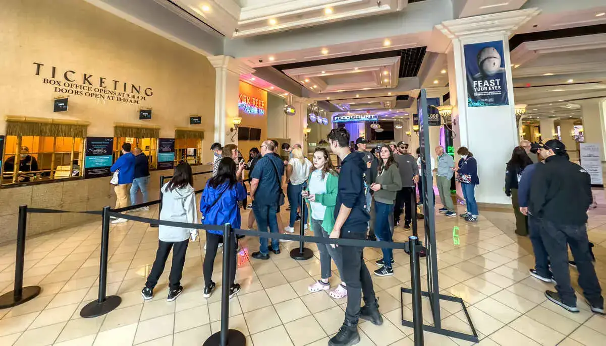 ¿El acuario es gratuito cuando te alojas en Mandalay Bay? (Arrecife de tiburones Las Vegas) ¿El acuario es gratuito cuando te alojas en Mandalay Bay? (Arrecife de tiburones Las Vegas)
