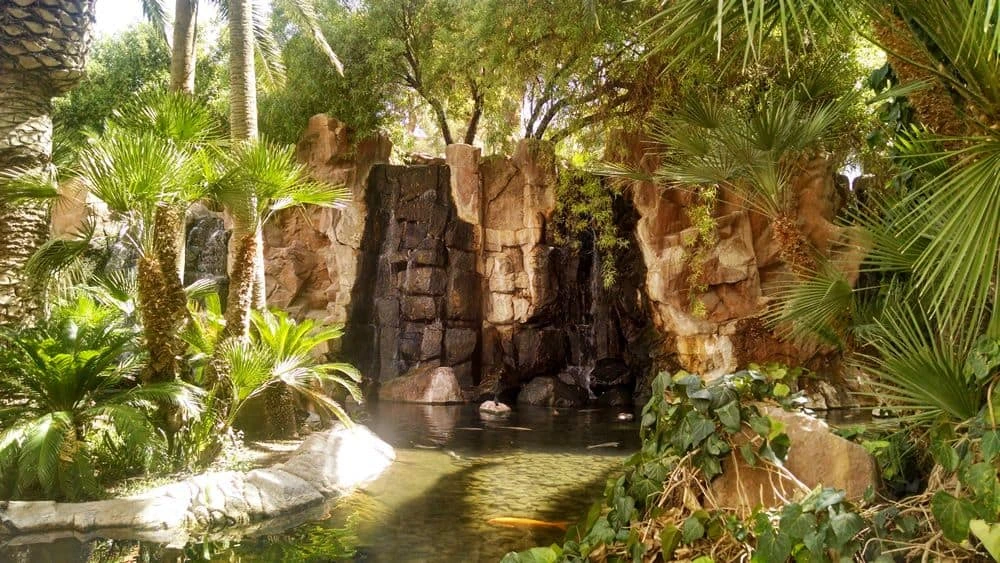 Hábitat de vida silvestre de flamencos en Las Vegas