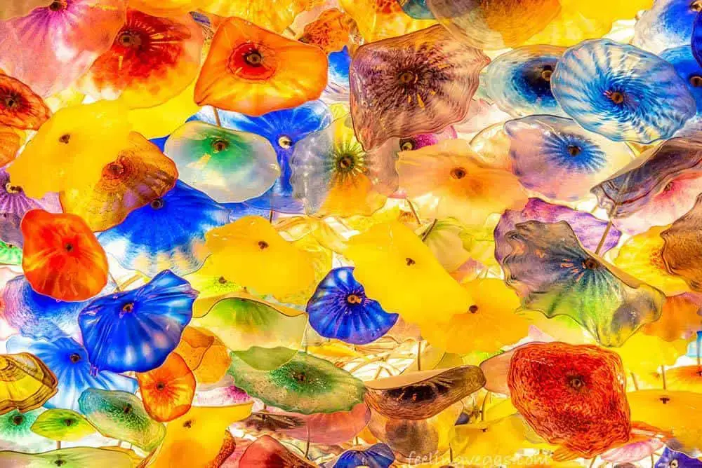 ¿Vale la pena el Bellagio? (Vamos a averiguar)