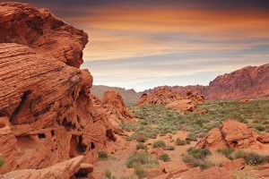 Cosas que hacer en tu viaje en solitario a Las Vegas