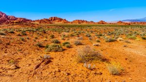 Cosas que hacer en tu viaje en solitario a Las Vegas