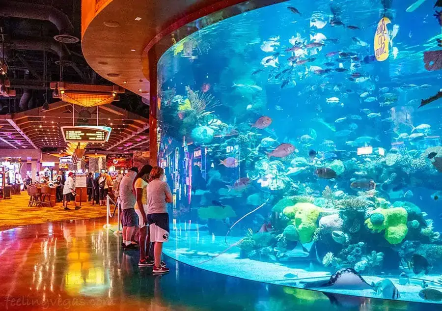 Las 31 mejores cosas GRATUITAS para hacer en Las Vegas 2023 (atracciones gratuitas)