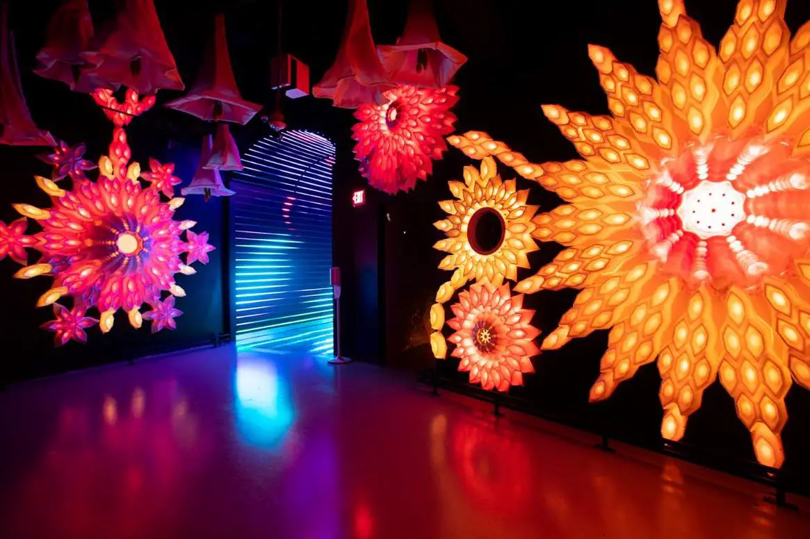 De una startup rudimentaria al éxito, Meow Wolf mira hacia el futuro: The...
